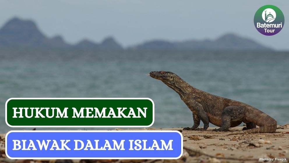 Hukum Memakan Daging Biawak, Apakah Halal??